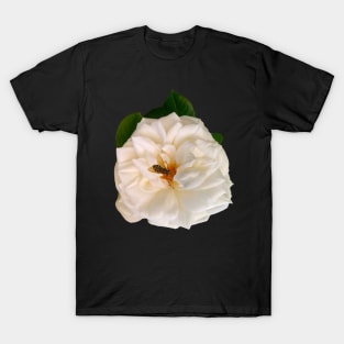 rose by any other name would be just as sweet - Roses Nature single white rose Flower save the bees T-Shirt